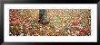 Leaves, Fallen by Panoramic Images Limited Edition Print
