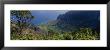 High Angle View Of A Valley, Kauai, Hawaii, Usa by Panoramic Images Limited Edition Print