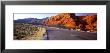 Road Through The Desert, Nevada, Usa by Panoramic Images Limited Edition Print