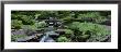 River Flowing Through A Forest, Inniswood Metro Gardens, Columbus, Ohio, Usa by Panoramic Images Limited Edition Print