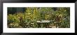 Empty Chairs And A Table In A Garden, Taos, New Mexico, Usa by Panoramic Images Limited Edition Pricing Art Print