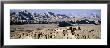 Ruins, Guge Kingdom, Tsaparang, Tibet by Panoramic Images Limited Edition Print