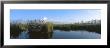 View Of Weeds Growing In A Swamp, Everglades National Park, Florida, Usa by Panoramic Images Limited Edition Print