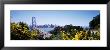 Bay Bridge In San Francisco, San Francisco, California, Usa by Panoramic Images Limited Edition Print