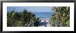 Plants On Both Sides Of A Boardwalk, Caspersen Beach, Venice, Florida, Usa by Panoramic Images Limited Edition Pricing Art Print