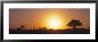 Sunset, Tarangire, Tanzania, Africa by Panoramic Images Limited Edition Pricing Art Print