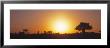 Sunset, Tarangire, Tanzania, Africa by Panoramic Images Limited Edition Pricing Art Print