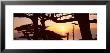 Sunset, Point Lobos State Reserve, California, Usa by Panoramic Images Limited Edition Pricing Art Print