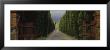 Road, Tuscany, Italy by Panoramic Images Limited Edition Print