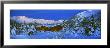 Cabin Mount Alyeska, Alaska, Usa by Panoramic Images Limited Edition Pricing Art Print