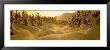 Sunset, Turnagain Pass, Alaska, Usa by Panoramic Images Limited Edition Pricing Art Print