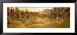 Sunset, Turnagain Pass, Alaska, Usa by Panoramic Images Limited Edition Pricing Art Print