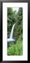 View Of A Waterfall In A Forest, Catarata La Paz Waterfall, Costa Rica by Panoramic Images Limited Edition Print