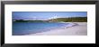 Red Beach On Caribbean Sea, Isle Of Vieques, Puerto Rico by Panoramic Images Limited Edition Print