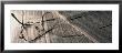 Stock Market Pages, Eyeglasses by Panoramic Images Limited Edition Print
