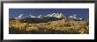 Autumnal View Of Aspen Trees And The Rocky Mountains, San Juan National Park, Colorado, Usa by Panoramic Images Limited Edition Pricing Art Print
