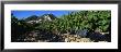 Cote Du Rhone Vineyard, Provence, France by Panoramic Images Limited Edition Print