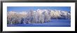 Snowcapped Mountains On A Landscape, Alaska, Usa by Panoramic Images Limited Edition Print