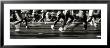 Marathon, New York City, New York State, Usa by Panoramic Images Limited Edition Print