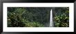 Akaka Falls State Park, Hawaii, Usa by Panoramic Images Limited Edition Print