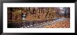 Euclid Creek, Parkway, Ohio, Usa by Panoramic Images Limited Edition Pricing Art Print