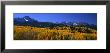 San Juan Mountains, Colorado, Usa by Panoramic Images Limited Edition Pricing Art Print