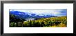 Panoramic View Of A Landscape, Yukon River, Alaska, Usa by Panoramic Images Limited Edition Pricing Art Print