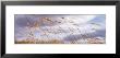 Wheat Stalks Blowing, Crops, Field, Open Space by Panoramic Images Limited Edition Print