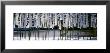 Banners, Kamakura, Japan by Panoramic Images Limited Edition Print