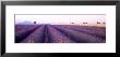 Lavender Field, Plateau De Valensole, France by Panoramic Images Limited Edition Pricing Art Print