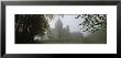 Castle Covered With Fog, Dunrobin Castle, Highlands, Scotland, United Kingdom by Panoramic Images Limited Edition Pricing Art Print