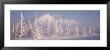 Snow Covered Landscape, Hoarfrost On Trees, Chugach Mountains, Alaska, Usa by Panoramic Images Limited Edition Pricing Art Print