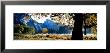 Half Dome, Yosemite National Park, California, Usa by Panoramic Images Limited Edition Print