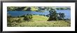 Trees By A River, San Luis Reservoir, Dinosaur Point Area, Merced County, California, Usa by Panoramic Images Limited Edition Pricing Art Print