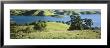 Trees By A River, San Luis Reservoir, Dinosaur Point Area, Merced County, California, Usa by Panoramic Images Limited Edition Print
