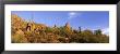 Saguaro Cactus, Sonoran Desert, Arizona, United States by Panoramic Images Limited Edition Print