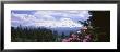 Mount Rainier And Spring Rhododendrons, Graham, Washington State, Usa by Panoramic Images Limited Edition Print