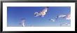Seagulls Flying Along Route A1a, Atlantic Ocean, Flagler Beach, Florida, Usa by Panoramic Images Limited Edition Print