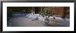 Potted Plant In A Courtyard, Temple Of Literature, Hanoi, Vietnam by Panoramic Images Limited Edition Print