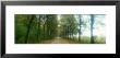 Road With Fog, France by Panoramic Images Limited Edition Pricing Art Print