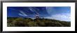 Life Ring Hanging Between Tall Grass, Embleton Bay, Northumberland, England, United Kingdom by Panoramic Images Limited Edition Print