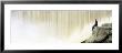 Matilija Dam, California, Usa by Panoramic Images Limited Edition Print