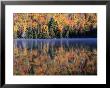 Trees At Autumn, Reflected In Heart Lake, Adirondak Mountains, New York, Usa by Rob Blakers Limited Edition Print
