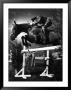 Contestant Jumping At The National Horse Show At Madison Square Garden by Gjon Mili Limited Edition Print