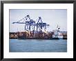 Container Port, Felixstowe, Suffolk, England, United Kingdom by G Richardson Limited Edition Print