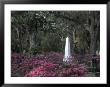 Bonaventure Cemetery, Savannah, Georgia, Usa by Joanne Wells Limited Edition Pricing Art Print