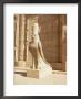 Statue Of Horus, Temple Of Horus, Edfu, Egypt, North Africa, Africa by Philip Craven Limited Edition Print