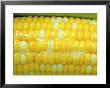 Buttered Sweet Corn by Chuck Haney Limited Edition Print