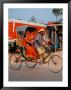 Indian Man In Bicycle Rickshaw, India by Dee Ann Pederson Limited Edition Print