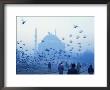 Latali Mosque, Istanbul, Turkey, Eurasia by James Green Limited Edition Print
